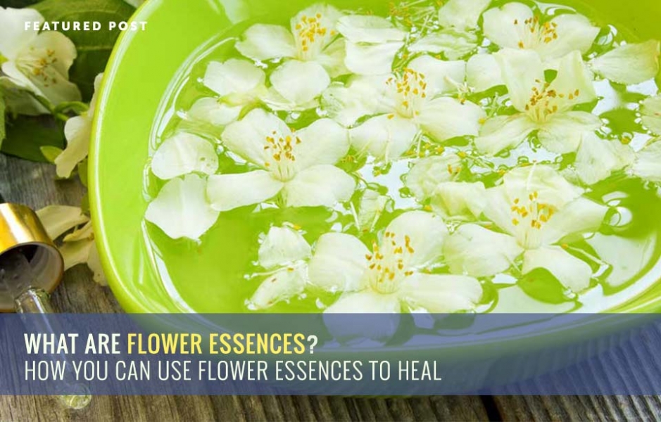 Dr. Christiane Northrup Women's Health Expert, NYT Bestselling