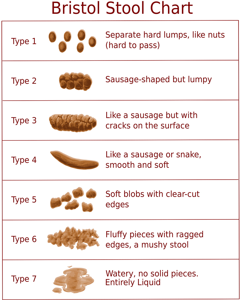 Dr Oz Bristol Stool Chart