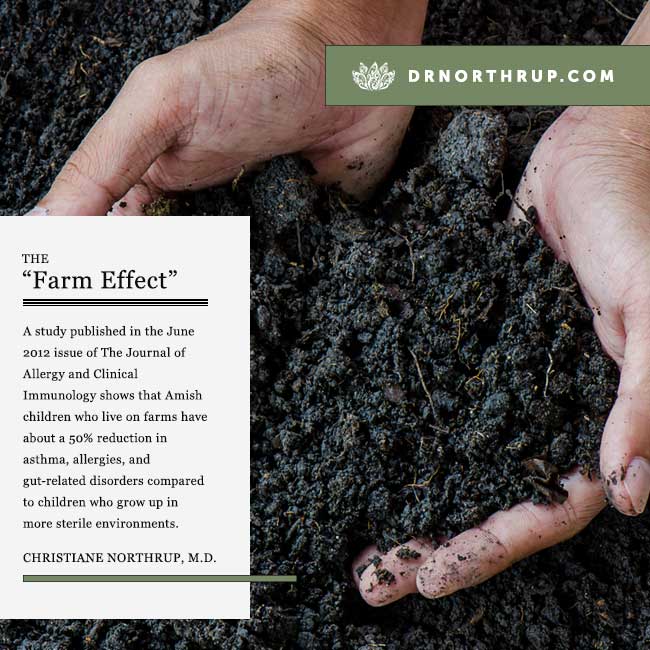 The Farm Effect: How Dirt Makes Us Happy and Healthy by Christiane Northrup, M.D. #immune #system #kids