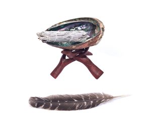 An abalone shell containing some sage, with a turkey feather for smudging