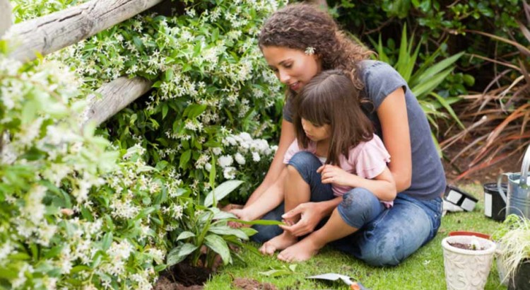 How Dirt Makes You Healthy and Happy by Christiane Northrup, M.D.