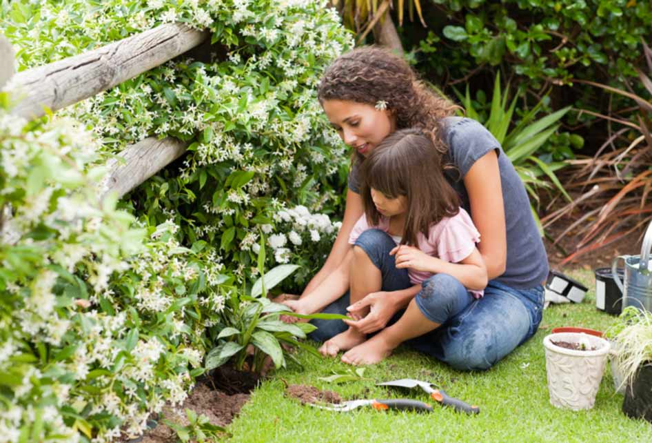 How Dirt Makes You Healthy and Happy by Christiane Northrup, M.D.