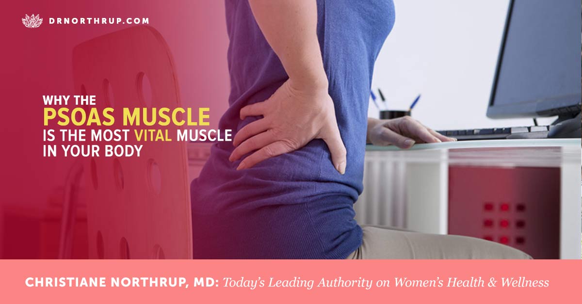 psoas muscle why it